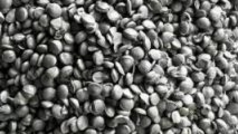 ABS Pellet